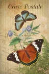 старинные художественные бабочки