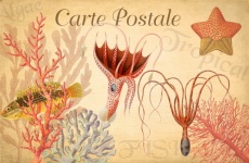 Carte postale tropicale de poulpe vintag
