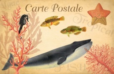 Vintage Whale Tropical Postcard