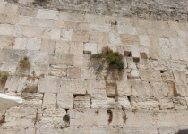 Västra muren i Jerusalem