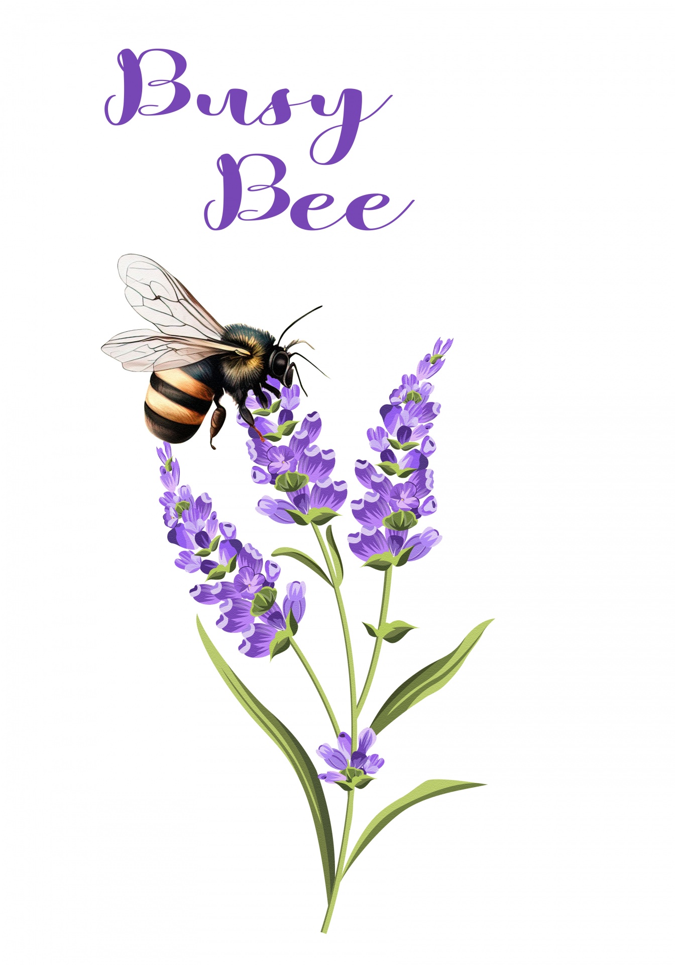 Лаванда Цветы Пчела Иллюстрация