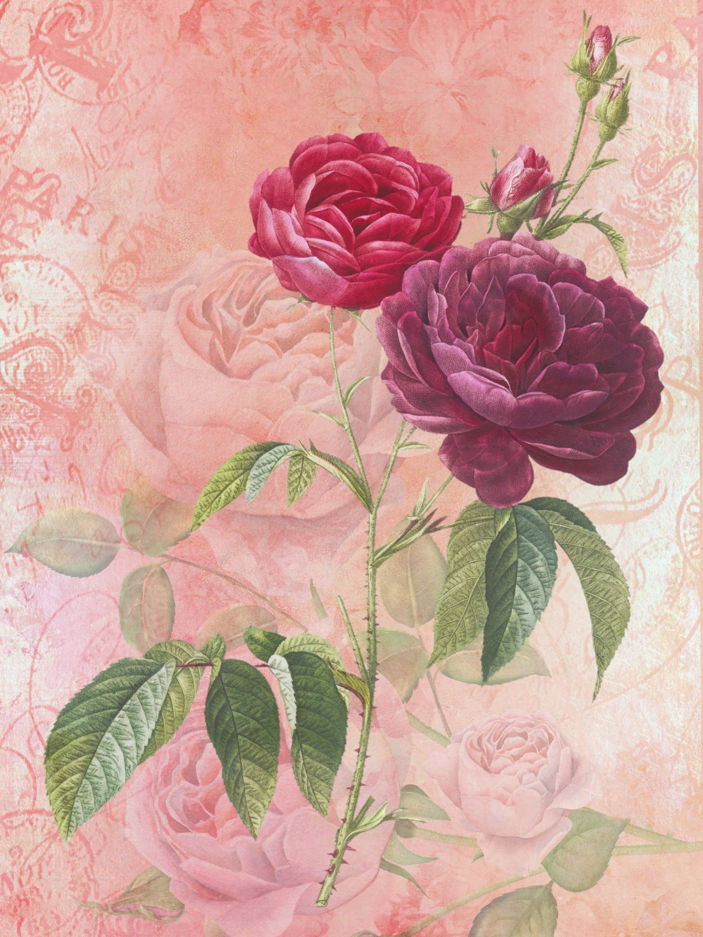 Rose Vintage Floral Background Free Stock Photo - Public Domain Pictures