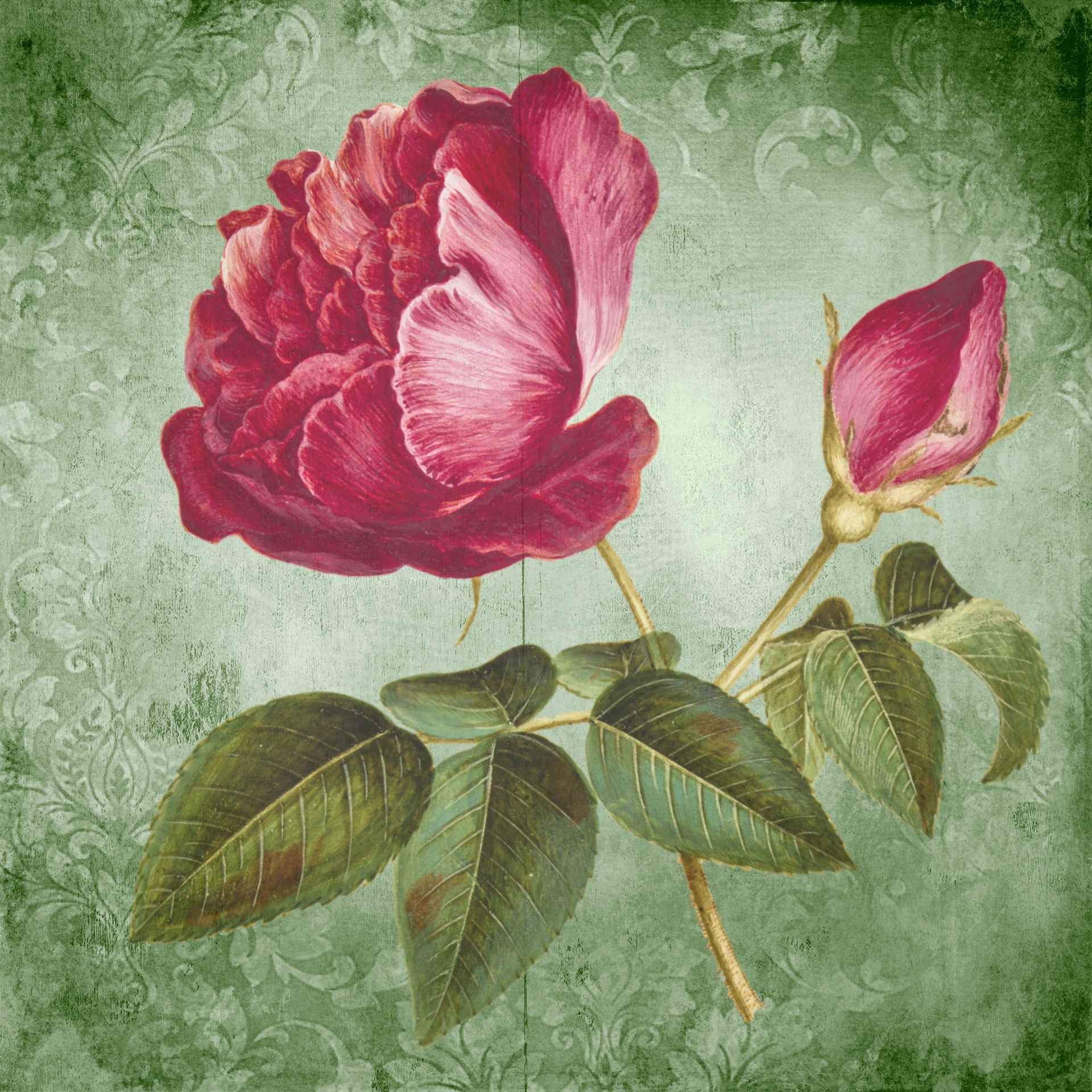 Vintage Floral Rose Art Free Stock Photo - Public Domain Pictures
