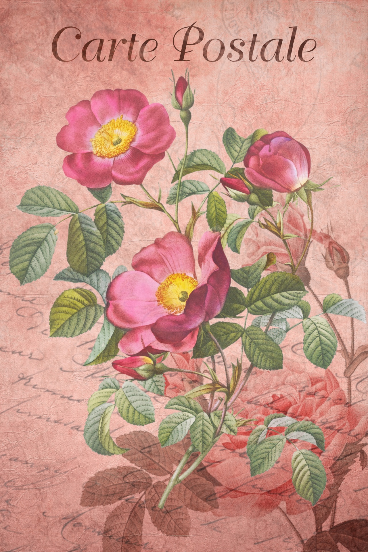 Vintage Art Flowers Roses Free Stock Photo - Public Domain Pictures