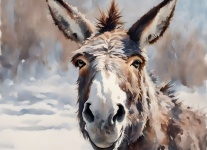Donkey Winter Snow Watercolor