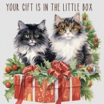 Funny Christmas Cat Greeting card