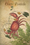 Vintage Art Cancer Crab