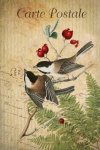 Oiseau de carte postale d’art vintage