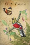 Vintage Art Butterfly Bird