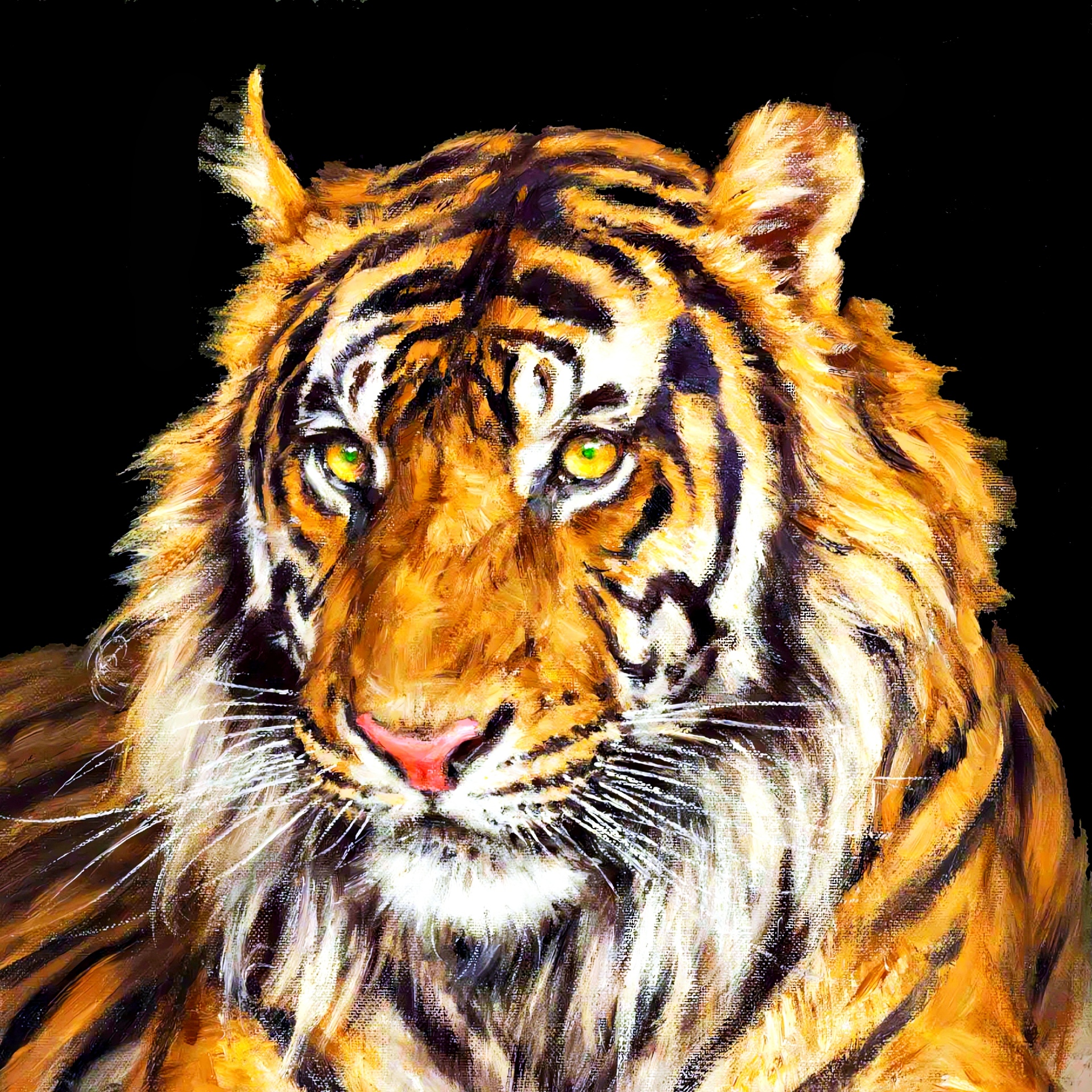 Tiger's Head Free Stock Photo - Public Domain Pictures