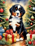 Bernese Mountain Dog Christmas