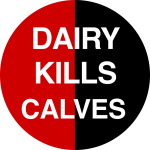 Dairy kills calves Google it badge