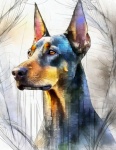 Retrato de animales, Doberman, mascota.