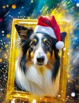 Cane, collie scozzese, giorno di Natale