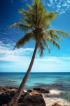 Palma sulla spiaggia tropicale