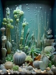 Corallo in acquario
