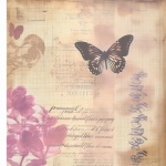 Vintage Butterfly Sepia Paper Print