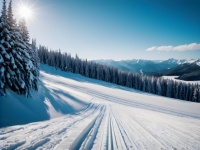 Winter Snow Ski Slope