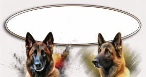 Cornice di testo cane pastore belga art
