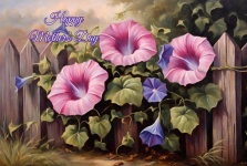 Happy Mother&039;s Day Morning Glory