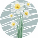 Frühlings-Narzissen-Blumenkunst