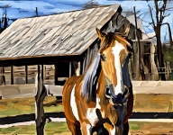 Oil painting horse art print