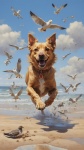 Sommerhunde laufen am Strand Art.-Nr