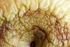 Pohled na vrásčitou kůži na jablku