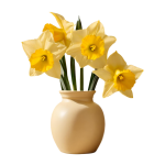Gelbe Narzissenblüten in Vase