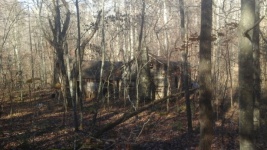 Cabana na floresta
