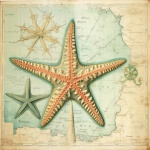 Vintage Map Starfish Art Print