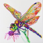 Abstract Dragonfly Portrait Sketch