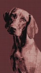 Pixelated Dog