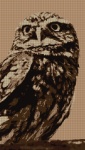 Pixelated Owl