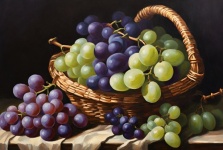静物葡萄品种