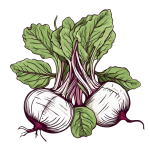 Turnips With Leaves