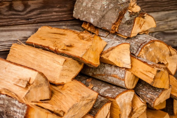 Niemcy wykupują polskie drewno opałowe