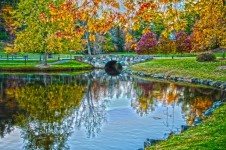 Lago otoño reflexiones
