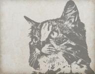 Cat Portret fundal Vintage