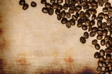 Los granos de café