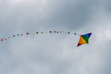 Colorful flying kite in the sky