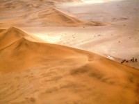 砂漠の砂丘、ナミブ