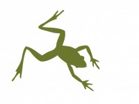Žába ilustrace