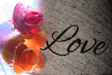 Love Flower Roses Faith Colorful