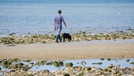 Muž Dog Walking na pláži