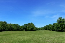 Meadow under blå himmel
