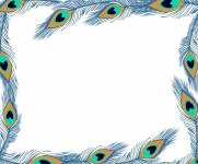 Peacock Feathers Frame