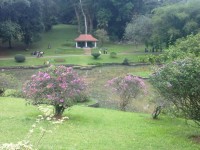 Peradeniya garden