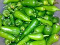 Csemege zöld chili