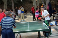 Ping Pong (a)